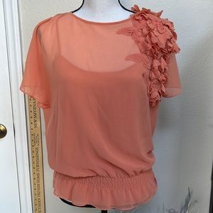 Ted Baker Teren Orange Butterfly 3D Applique Sheer Blouse